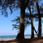 Los Pinos beach, Veracruz