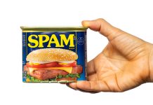 Why is MND going ad-free? A perspective from our CEO A hand holds a can of spam